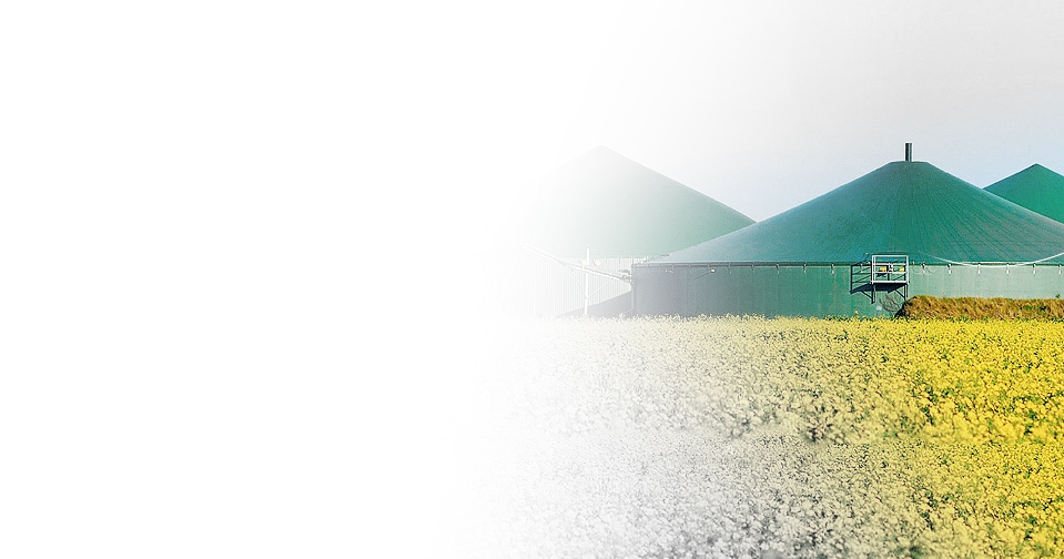 BIODIESEL<br /> RME/FAME/ B100